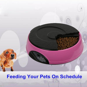 Smart Automatic Pet Feeder