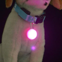 Load image into Gallery viewer, Pet Night Safety Pendant LED Collar