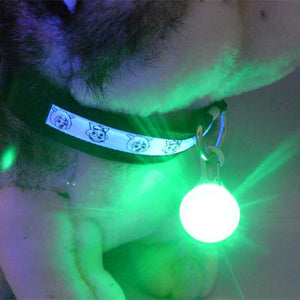 Pet Night Safety Pendant LED Collar