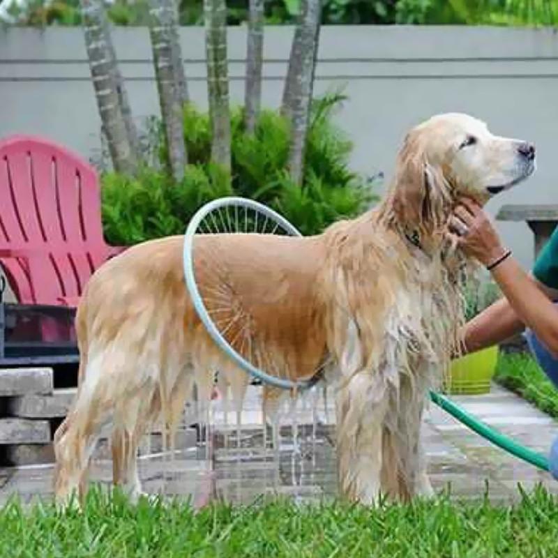 Dog Shower Sprayers Tool