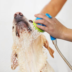 Pet Massager Shower Sprayer